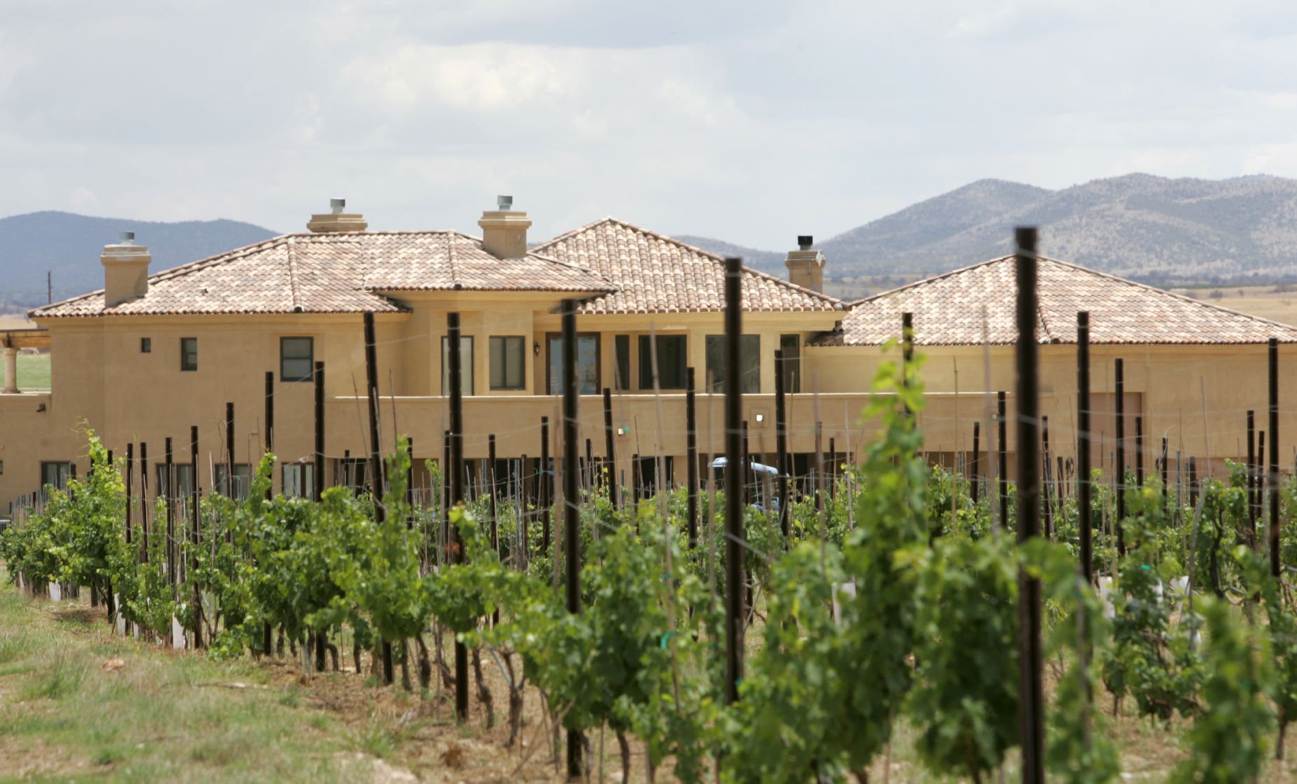 Kief-Joshua Vineyards